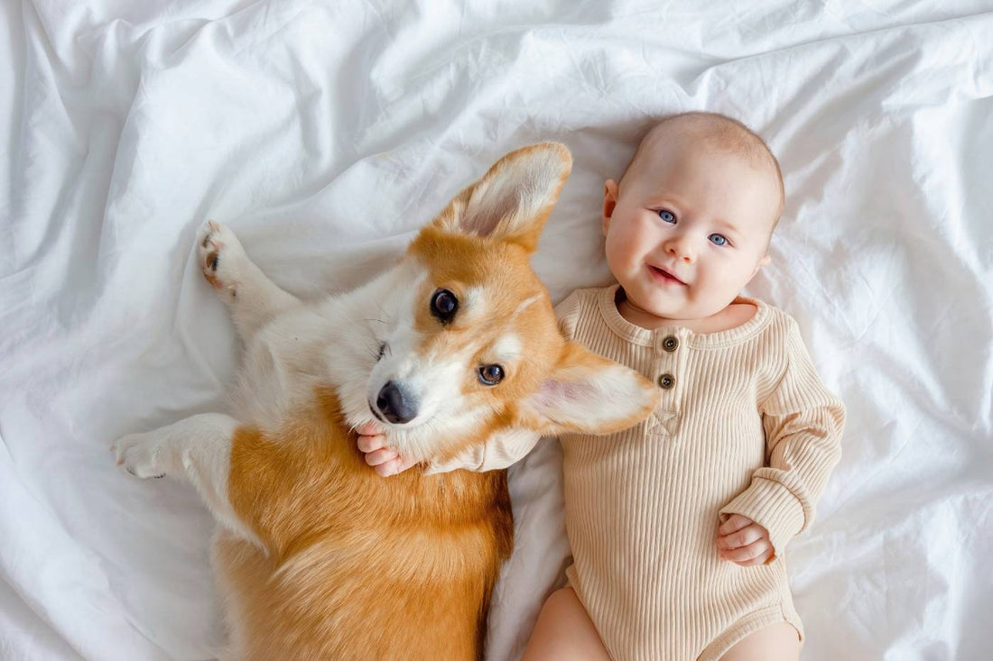 40+ Welsh Baby Names for Girls and Boys