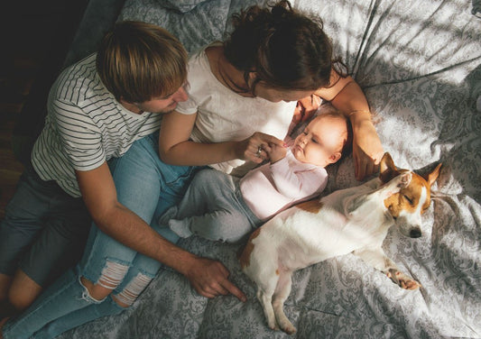 bed sharing co-sleeping
