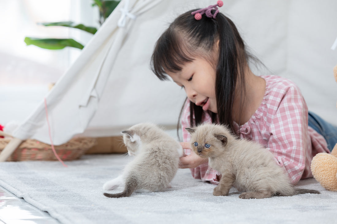 How to Provide Social Engagement for Toddlers During Quarantine