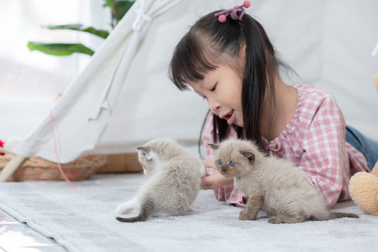 How to Provide Social Engagement for Toddlers During Quarantine