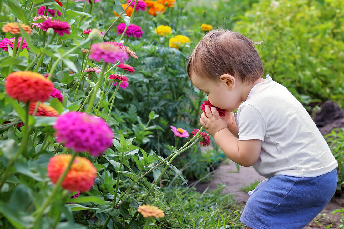 nature-baby-spring