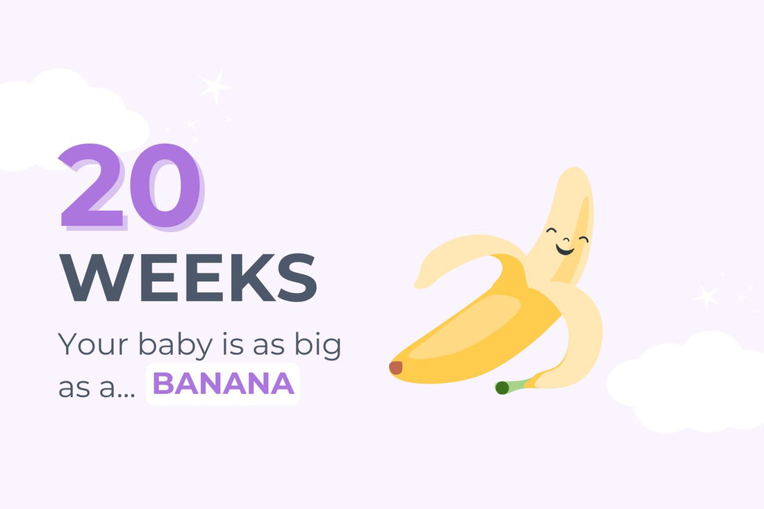 20 weeks pregnant